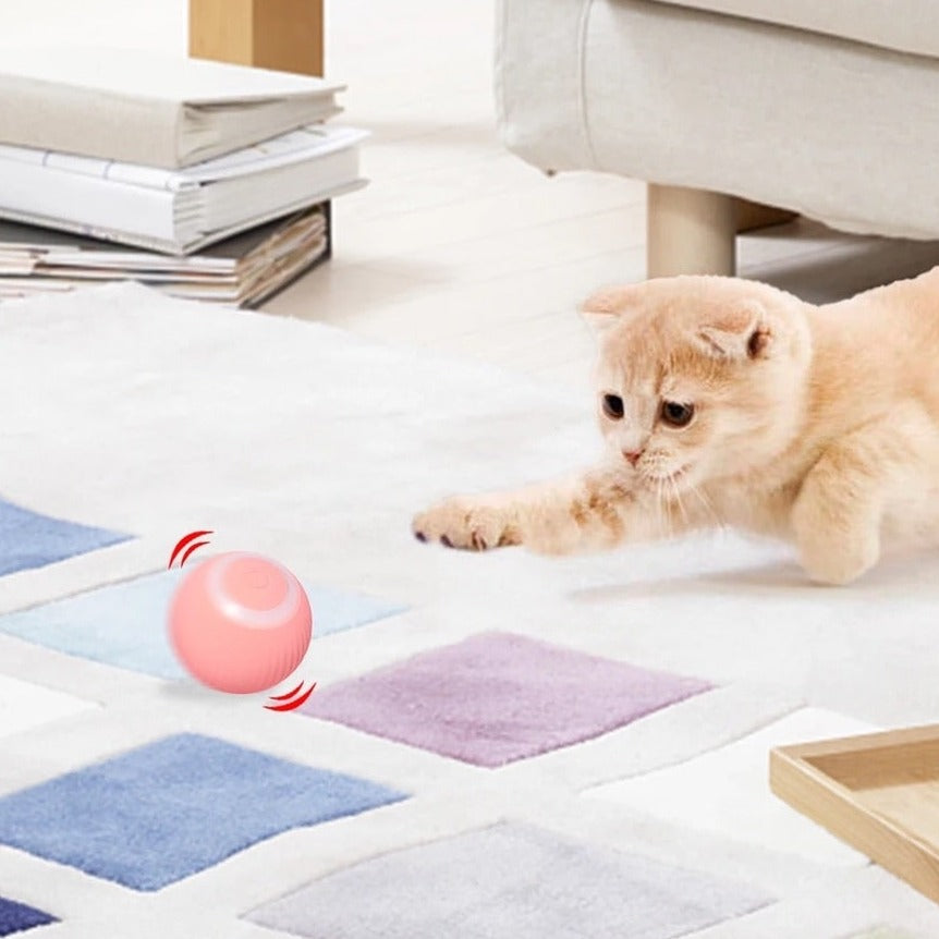 Intelligent toy for cats - E-CatBall™