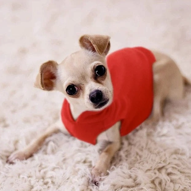 Vêtements en polaire doux pour petits chiens - DogJacket™
