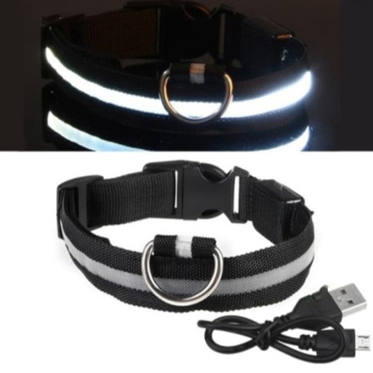 LED Dog Collar - Doggy Led™