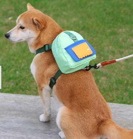 Laisse de chien de dessin animé SR, fournitures pour animaux de compagnie, voyage en plein air, petit - DoggyBackpack™