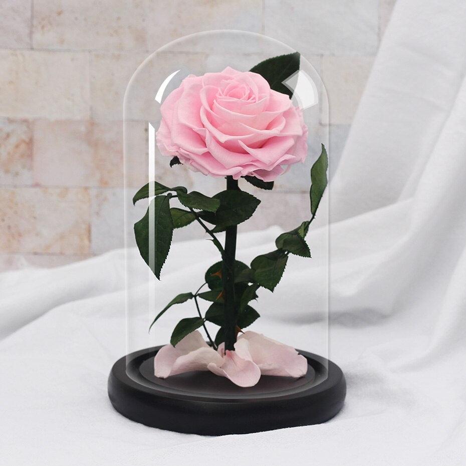 Rose éternelle - Fairy Shadow - Le Grenier Parisien