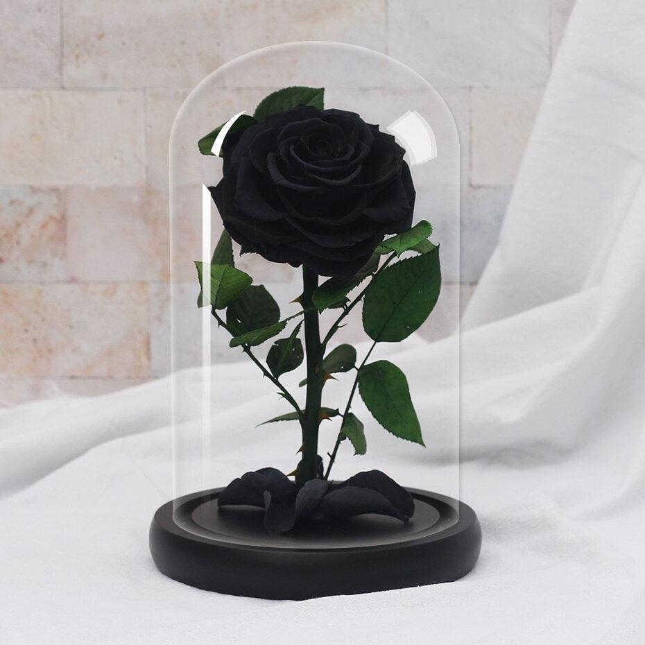 Rose éternelle - Fairy Shadow - Le Grenier Parisien