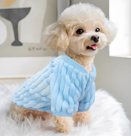 Mignon chien portant le Pull PupVest™ bleu, parfait pour les petites races pendant les journées fraîches.