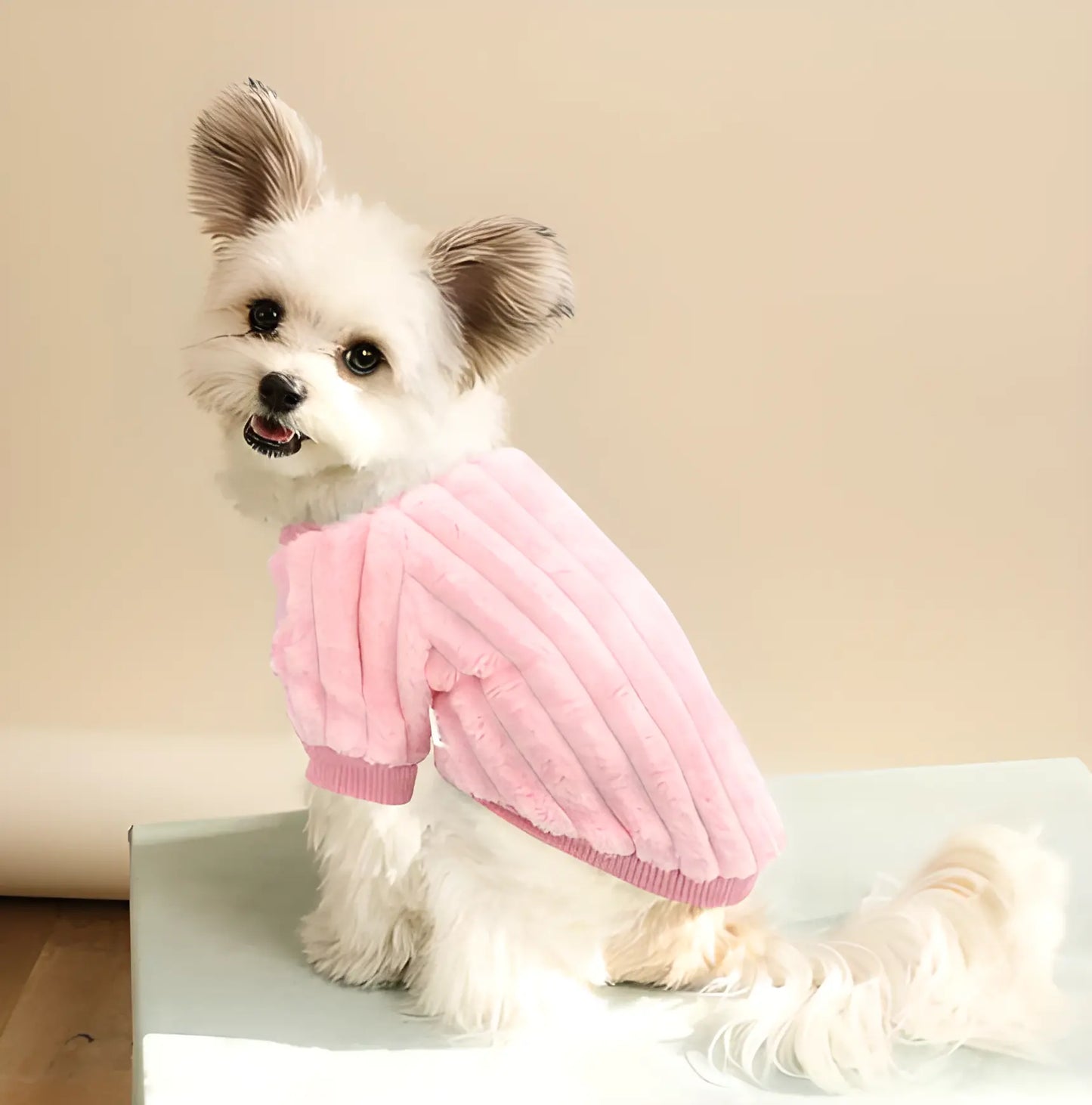 Adorable chien portant fièrement le Pull PupVest™ rose, à la fois chaud et stylé