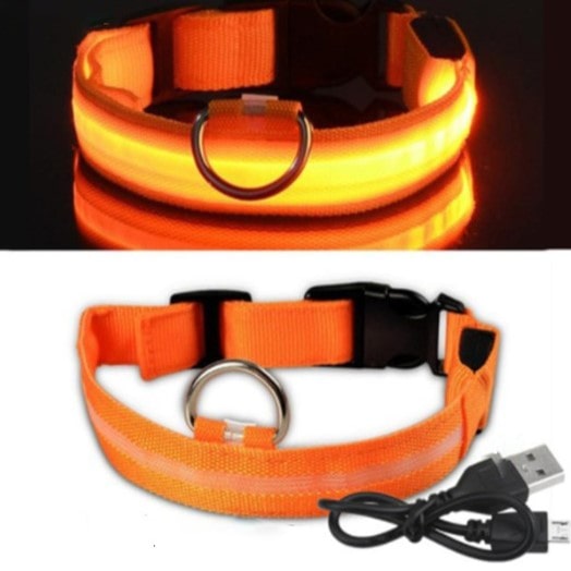 LED Dog Collar - Doggy Led™