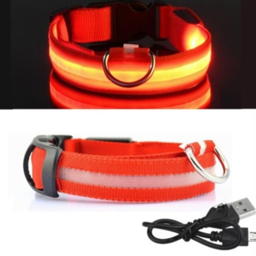 LED Dog Collar - Doggy Led™