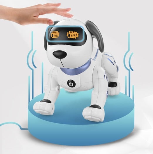 Robot dog - DoggoBot™