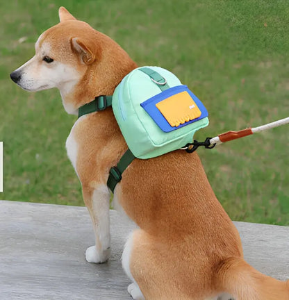 Charmant chien équipé du DoggyBackpack™ vert, prêt à transporter ses affaires lors de vos aventures ensemble