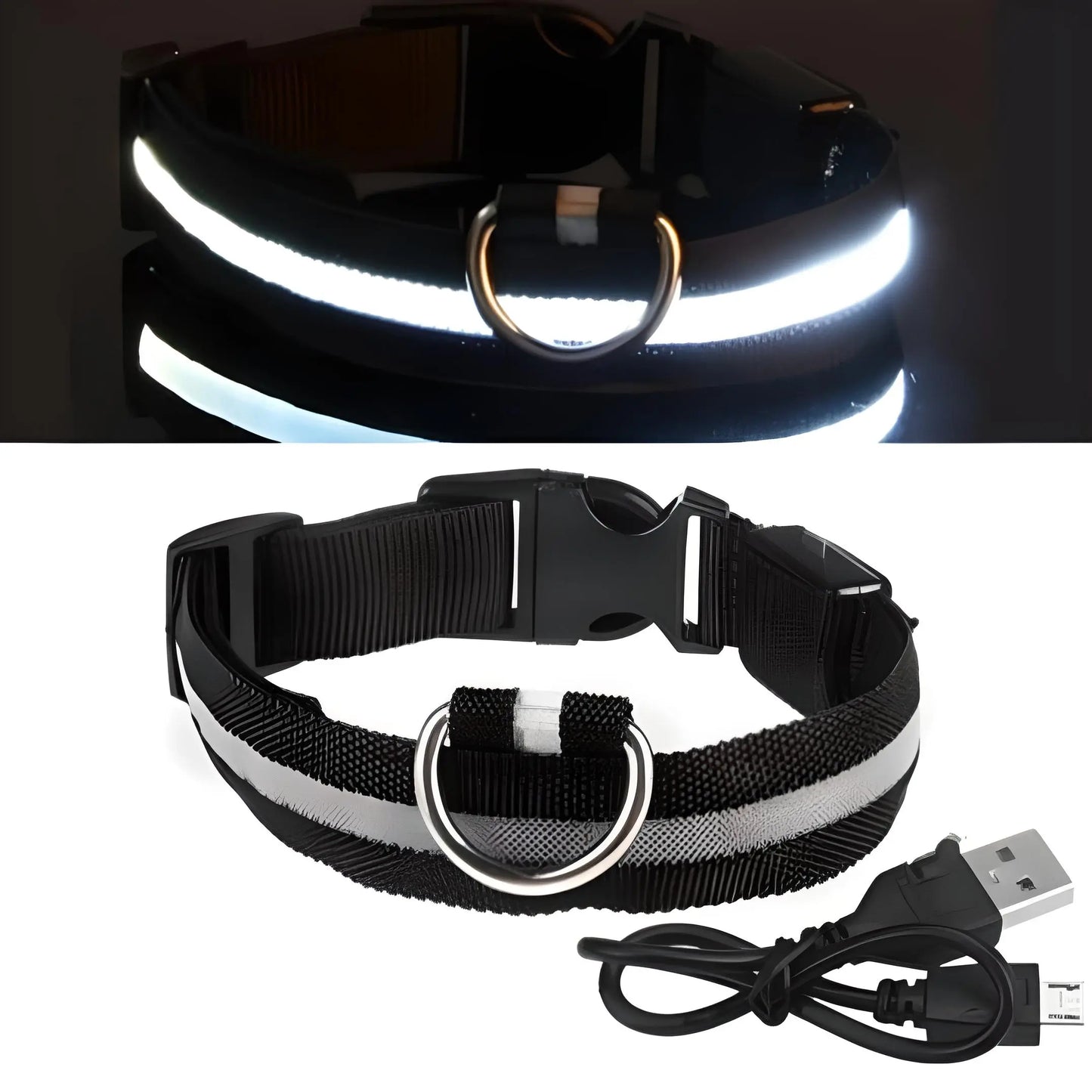 Collier pour chien lumineux LED Doggy Led™ - Design élégant