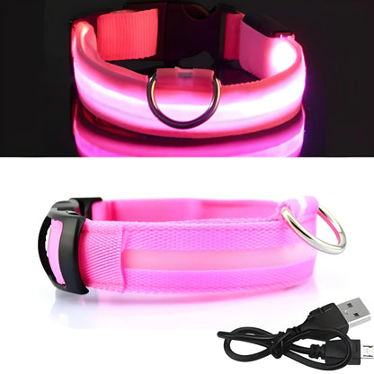 Collier pour chien lumineux LED Doggy Led™ - Design élégant