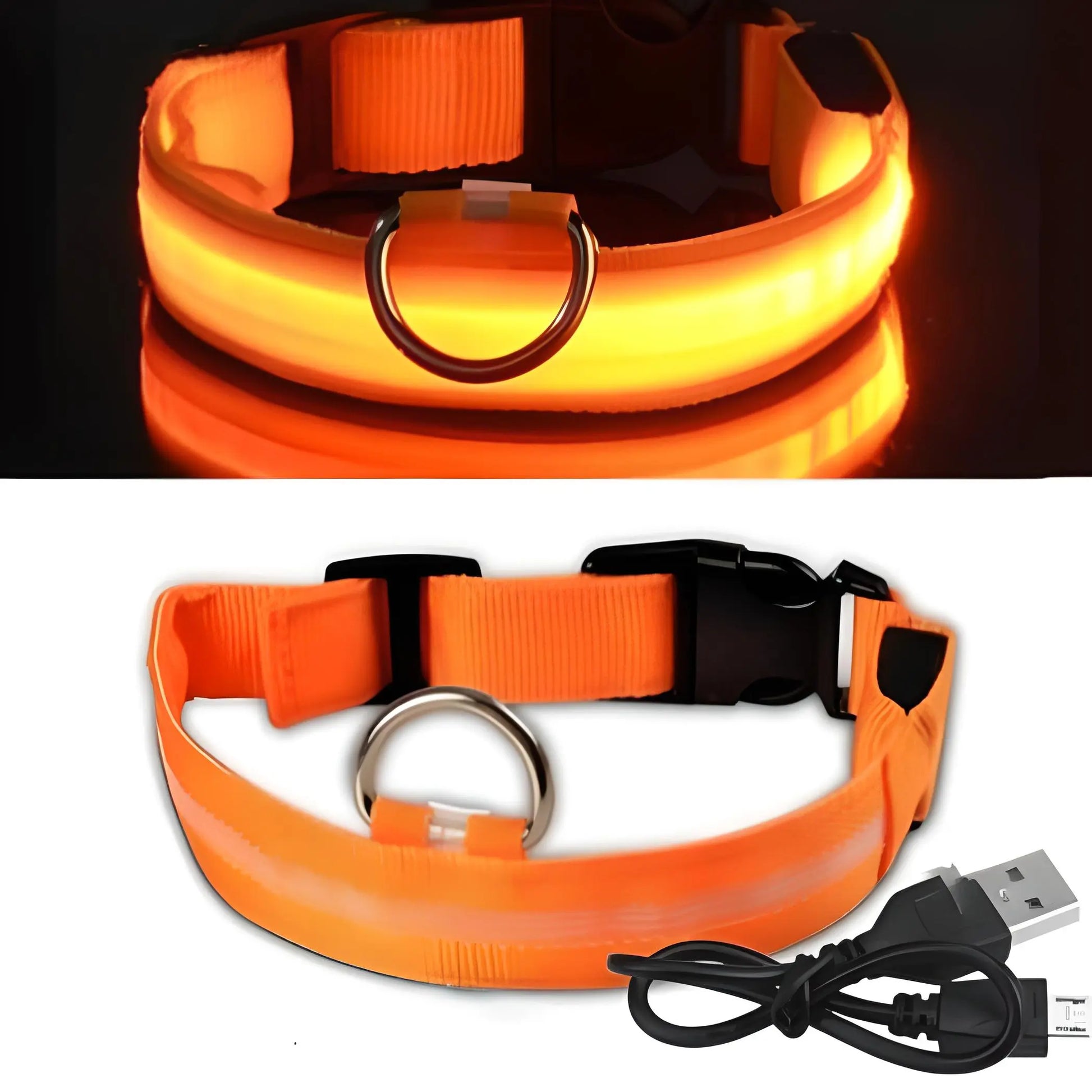 Collier pour chien lumineux LED Doggy Led™ - Design élégant