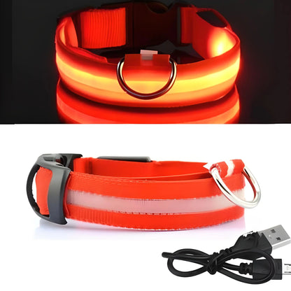 Collier pour chien lumineux LED Doggy Led™ - Design élégant