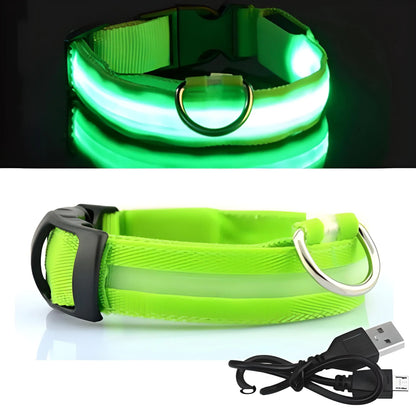 Collier pour chien lumineux LED Doggy Led™ - Design élégant