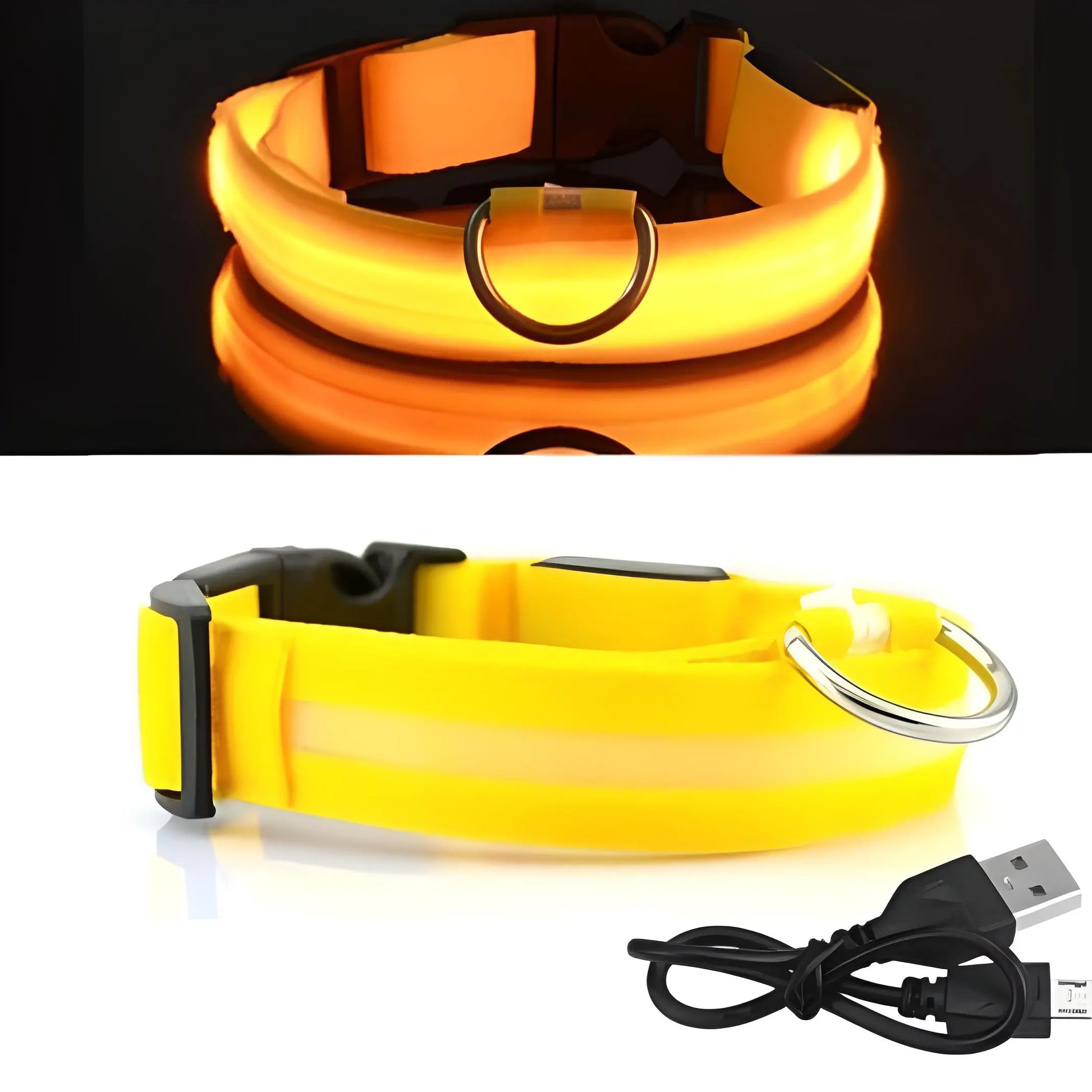 Collier pour chien lumineux LED Doggy Led™ - Design élégant