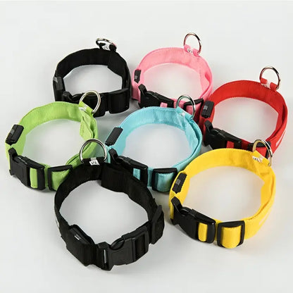 Collier pour chien lumineux LED Doggy Led™ - Usage extérieur waterproof