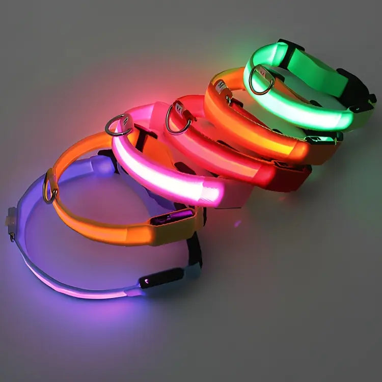 Collier pour chien lumineux LED Doggy Led™ - Vue de nuit