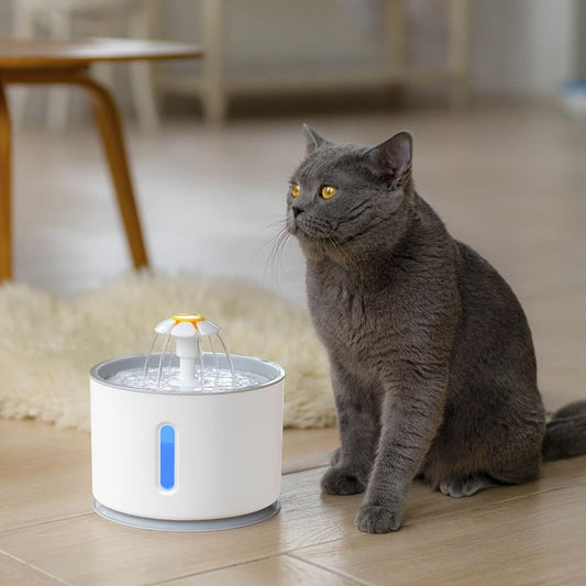 Automatic water fountain for cats with LED lighting - CDWaterFountain™